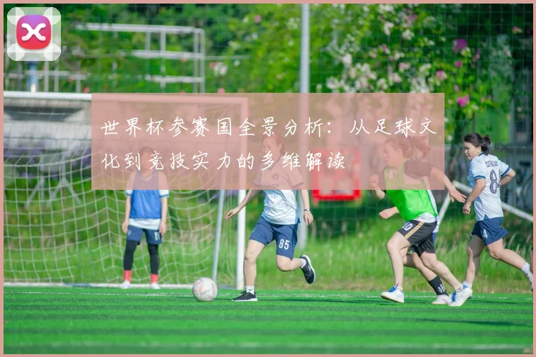 世界杯参赛国全景分析:从足球文化到竞技实力的多维解读