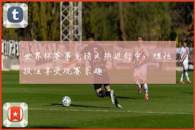 世界杯赛事竞猜火热进行中，理性投注享受观赛乐趣