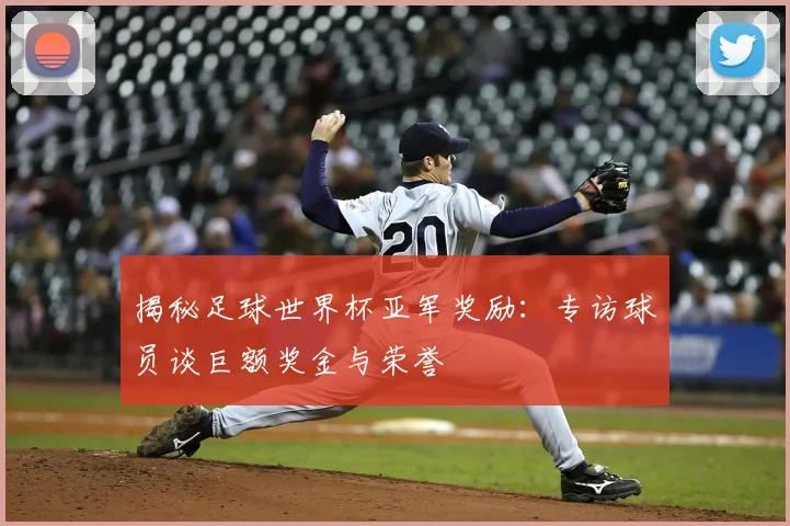 揭秘足球世界杯亚军奖励:专访球员谈巨额奖金与荣誉