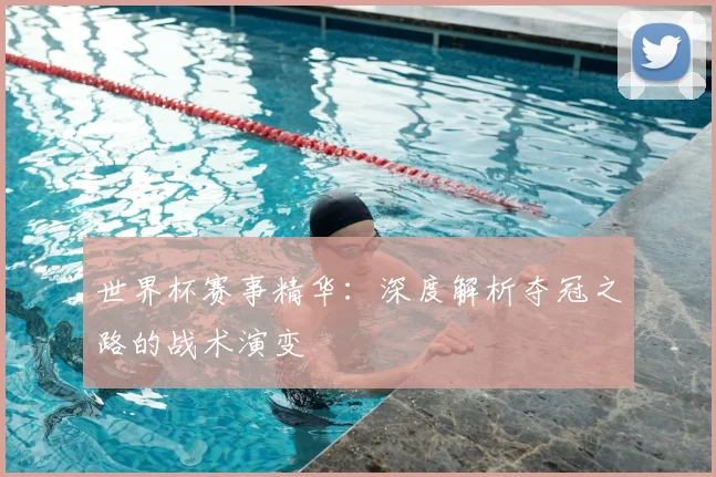 世界杯赛事精华：深度解析夺冠之路的战术演变