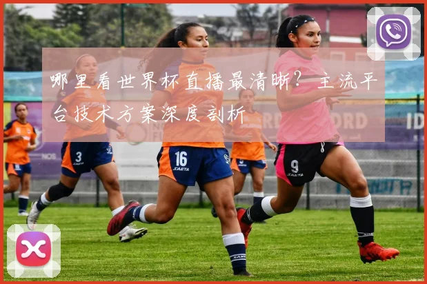 哪里看世界杯直播最清晰?主流平台技术方案深度剖析